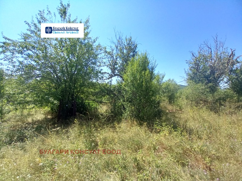De vânzare  Casa regiunea Kyustendil , Precolnița , 71 mp | 67143629 - imagine [3]