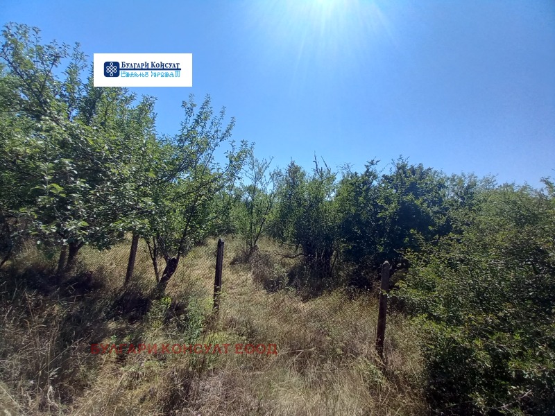 De vânzare  Casa regiunea Kyustendil , Precolnița , 71 mp | 67143629 - imagine [5]