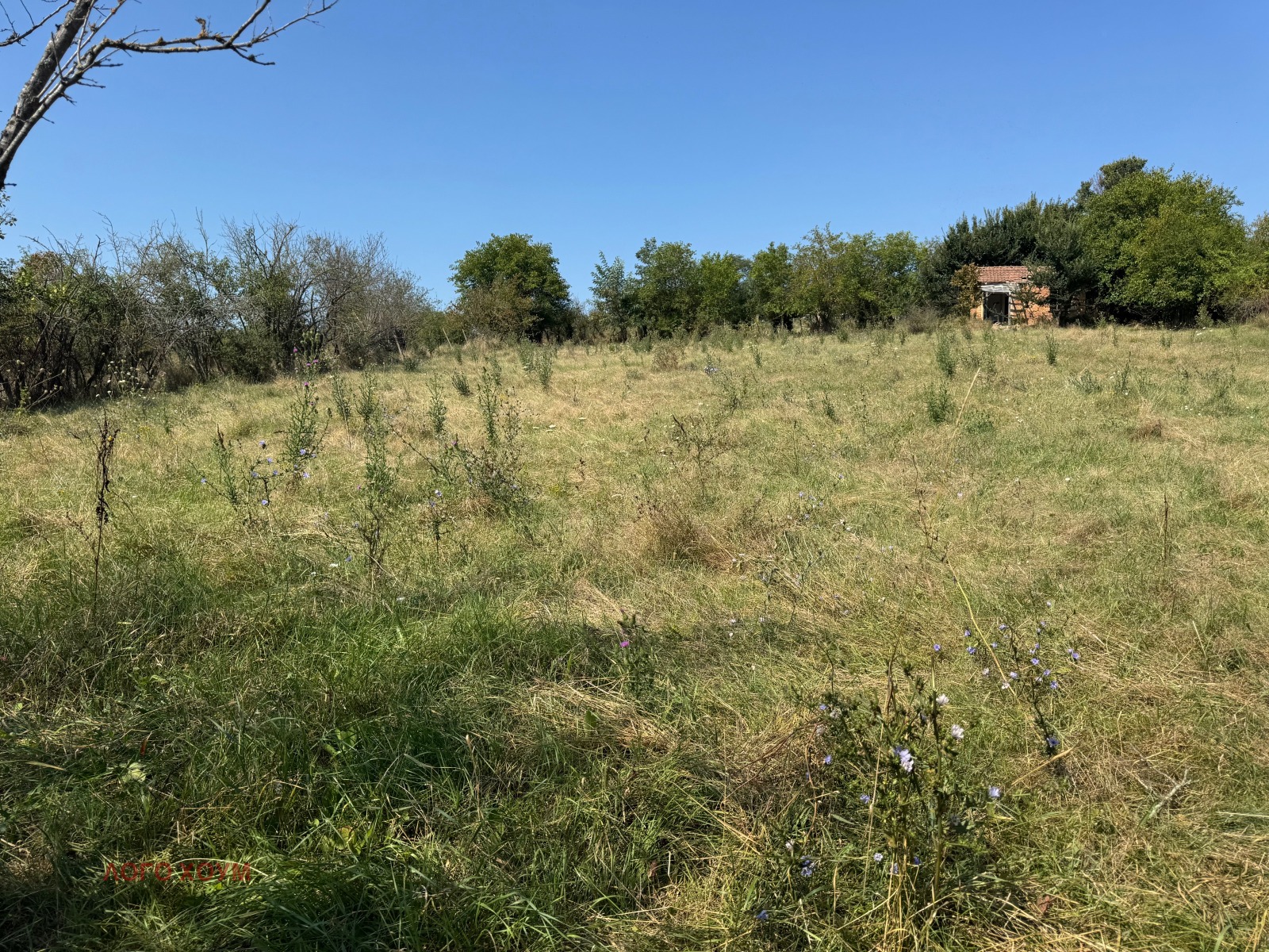 Продава ПАРЦЕЛ, гр. Варна, м-т Боровец - юг, снимка 2 - Парцели - 55932881