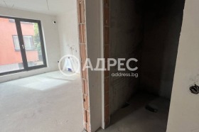 ����� ������� ����������,���� �����, �������