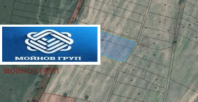 ������ ������� ������