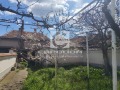 Продава КЪЩА, гр. Мъглиж, област Стара Загора, снимка 2