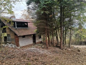 House Svidnya, region Sofia 3