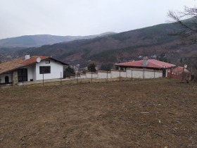 Hus Svidnya, region Sofia 15