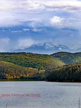 Парцел с. Ново село, област София 9