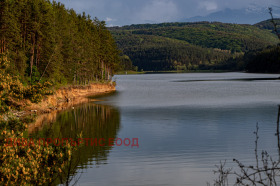 Парцел с. Ново село, област София 5