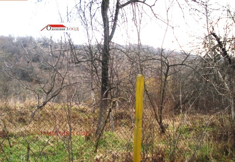 À venda  Trama região Lovech , Malak izvor , 1000 m² | 56309607 - imagem [6]