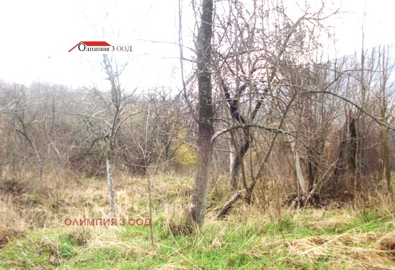 À venda  Trama região Lovech , Malak izvor , 1000 m² | 56309607 - imagem [2]