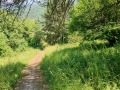 Продава КЪЩА, област София, с. Свидня • 35000 € • 58341925 — Holmes.bg