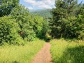 Продава КЪЩА, област София, с. Свидня • 35000 € • 58341925 — Holmes.bg