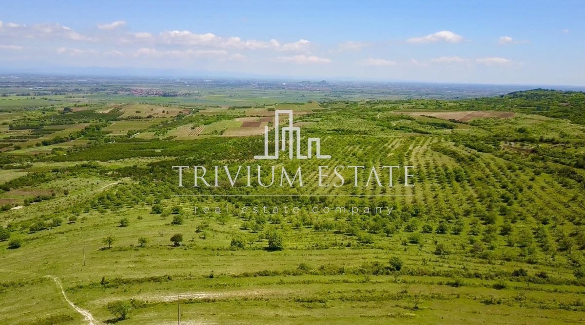 ������� ������ | Imot.bg � ����������� 5