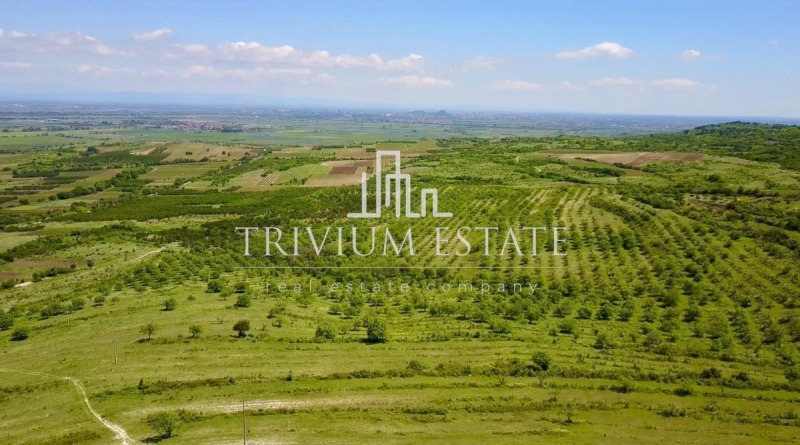 Продава ПАРЦЕЛ, с. Брестовица, област Пловдив, снимка 5 - Парцели - 53093145