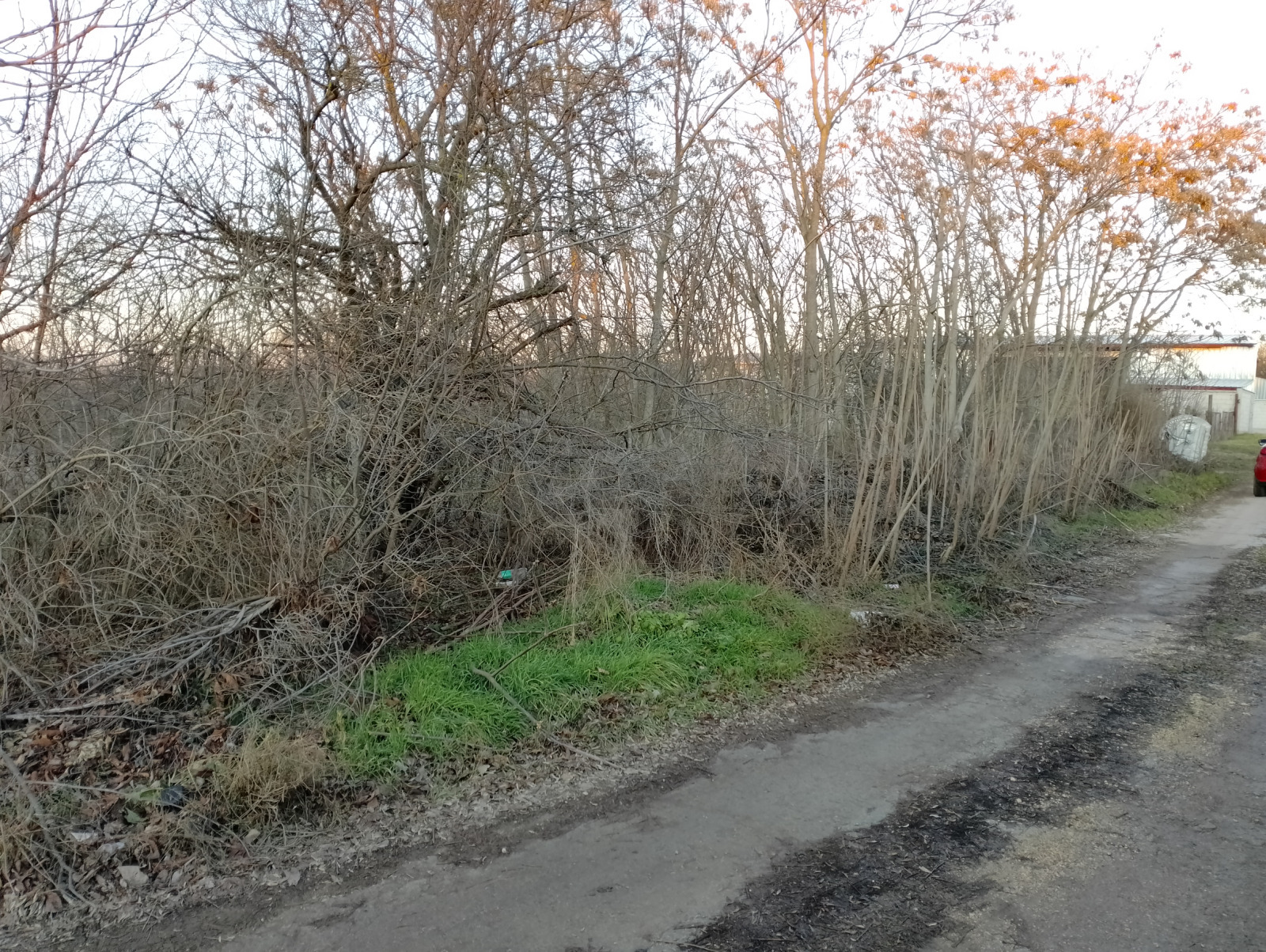 ������� ������ | Imot.bg � ����������� 8