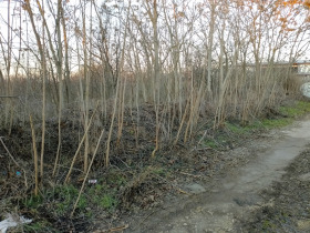 ������� ������ | Imot.bg � ����� ������ 2