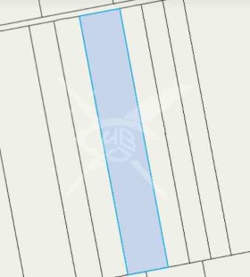 ������ ������� ������