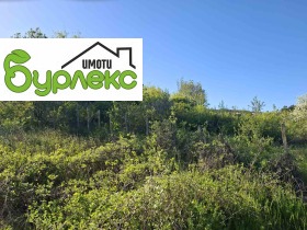 ����� ������� ������,���� �����, �-� ����� �����