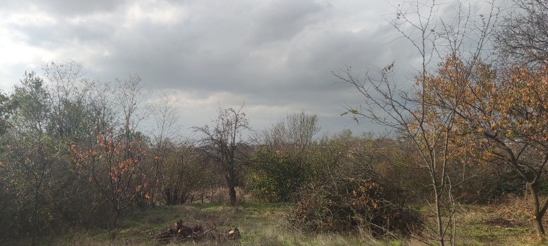 Продава ПАРЦЕЛ, гр. Варна, Изгрев, снимка 5 - Парцели - 51888050