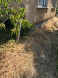 Продава КЪЩА, с. Бошуля, област Пазарджик, снимка 2