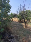 Продава КЪЩА, област Пазарджик, с. Бошуля • 65000 лв. / 33233.97 € • 61394269 5