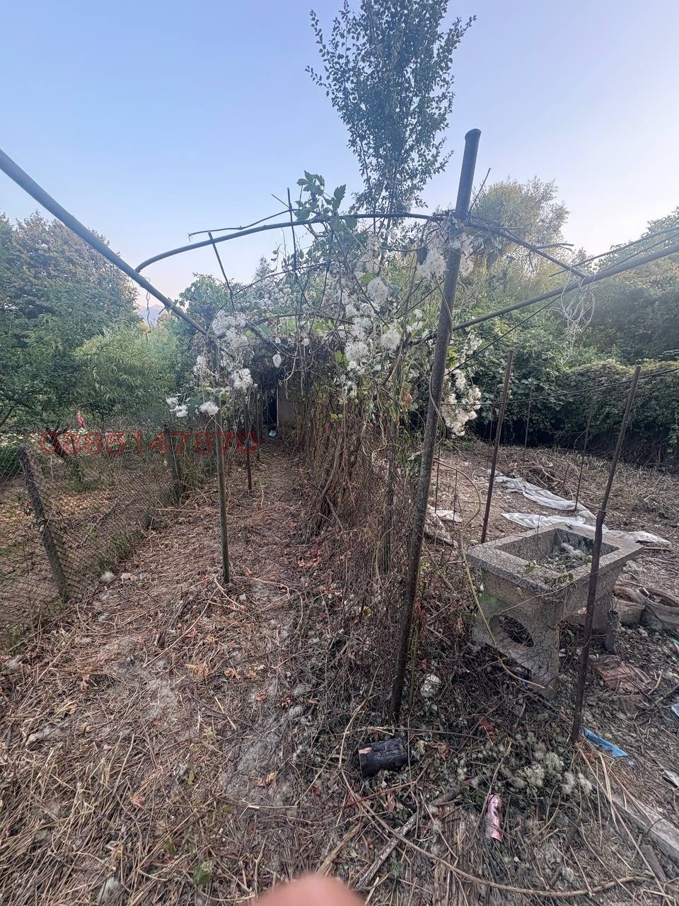 Продава КЪЩА, гр. Берковица, област Монтана, снимка 3 - Къщи - 55849140
