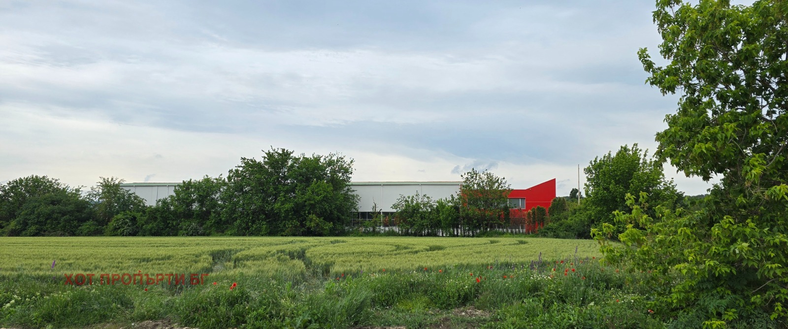 Продава БИЗНЕС ИМОТ, гр. Провадия, област Варна, снимка 5 - Други - 53856537