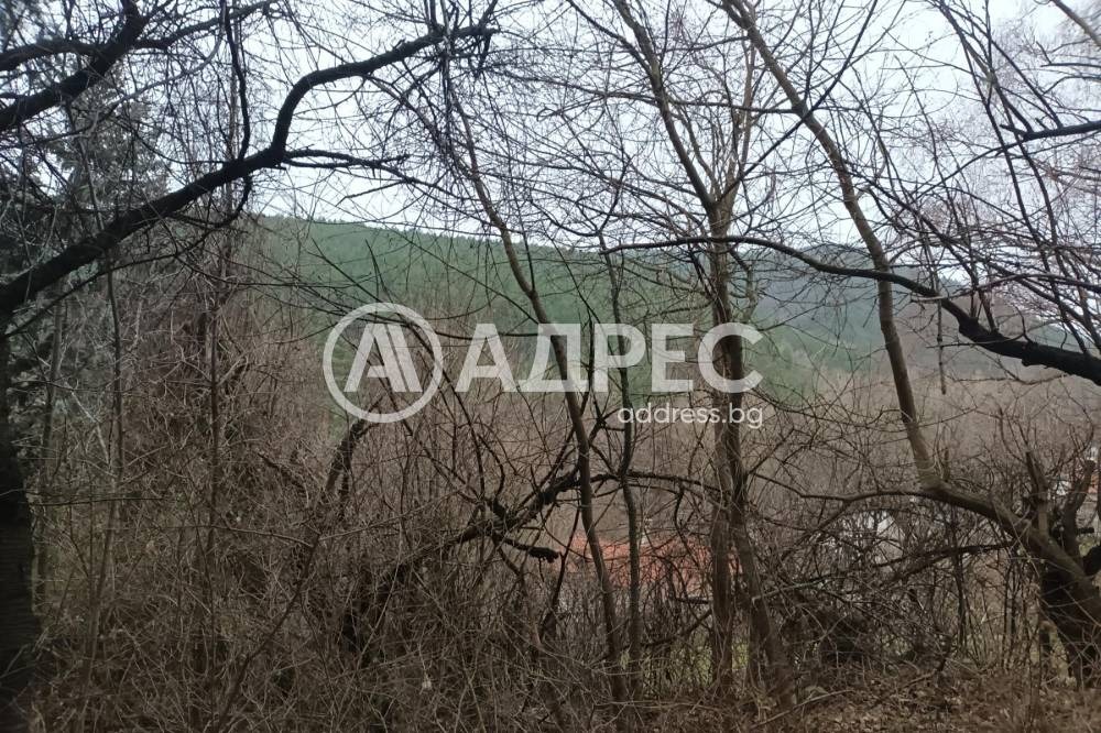 ������� ������ | Imot.bg � ����������� 7