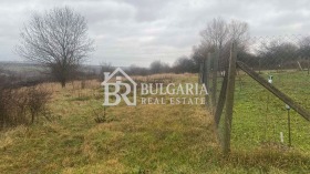 ������ ������� ������