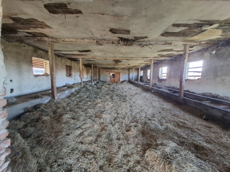 Продава ПАРЦЕЛ, с. Бошуля, област Пазарджик, снимка 6 - Парцели - 52479553