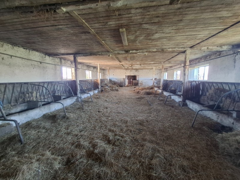 Продава ПАРЦЕЛ, с. Бошуля, област Пазарджик, снимка 5 - Парцели - 52479553