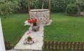 Продава КЪЩА, с. Мадара, област Шумен, снимка 7