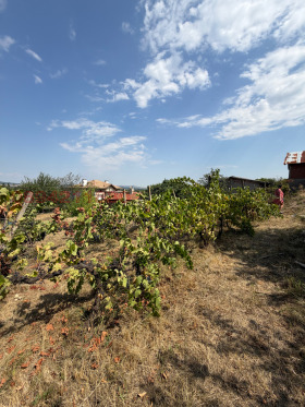 ������� ���� | Imot.bg � ����� ������ 3