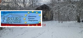 ����� ������� ������,�. ����� �����, ������ �����