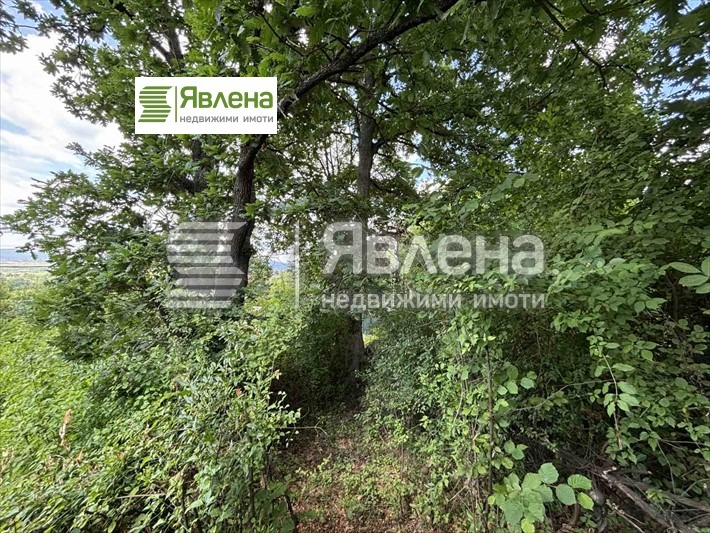 Satılık  Komplo bölge Pernik , Rudarci , 435 metrekare | 23299772 - görüntü [4]