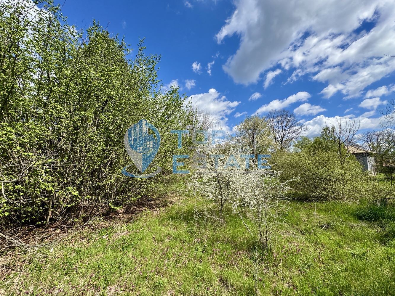 Продава КЪЩА, с. Иванча, област Велико Търново, снимка 16 - Къщи - 54199829