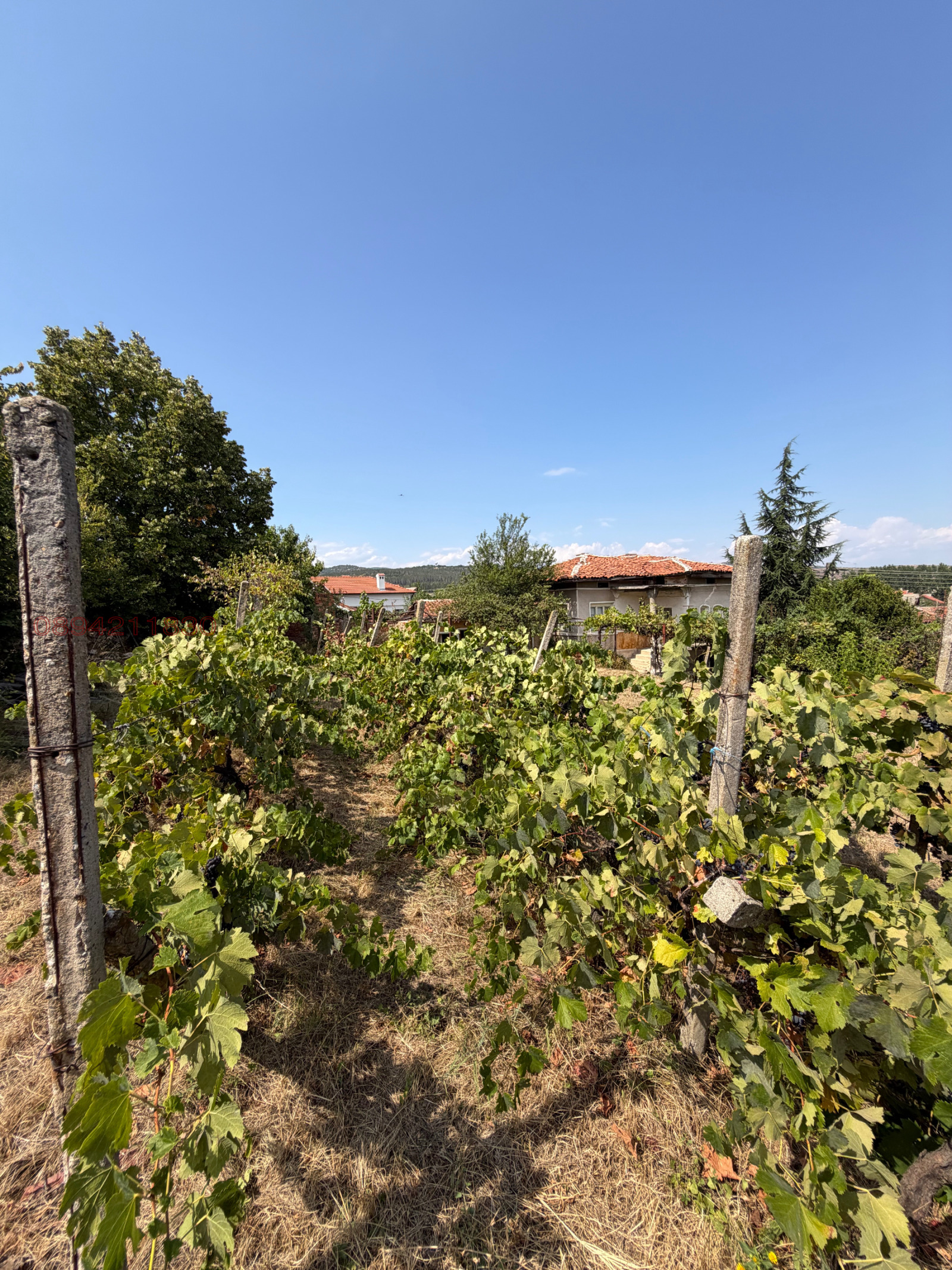 Продава КЪЩА, с. Аканджиево, област Пазарджик, снимка 8 - Къщи - 55835182