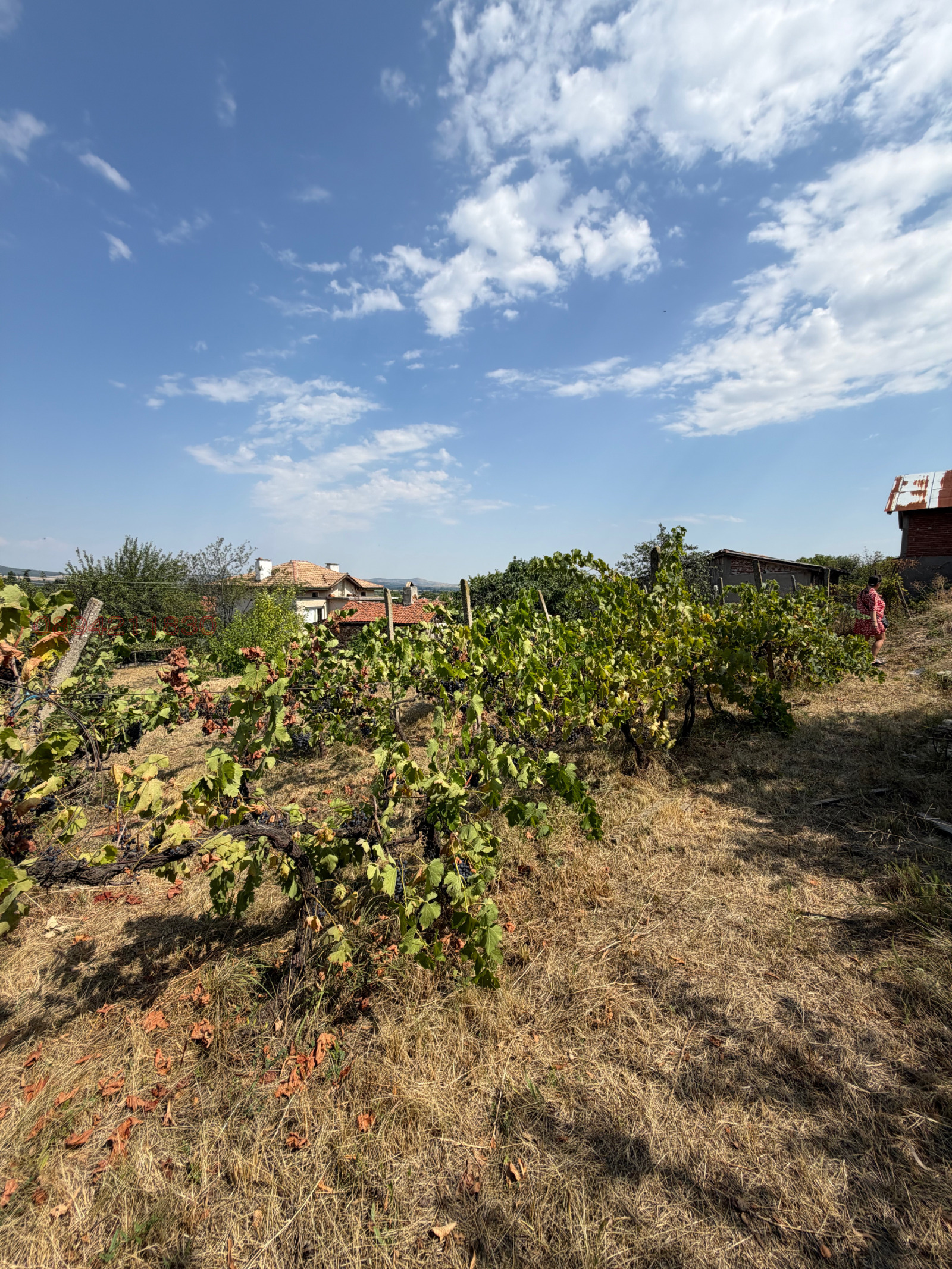 Продава КЪЩА, с. Аканджиево, област Пазарджик, снимка 3 - Къщи - 55835182