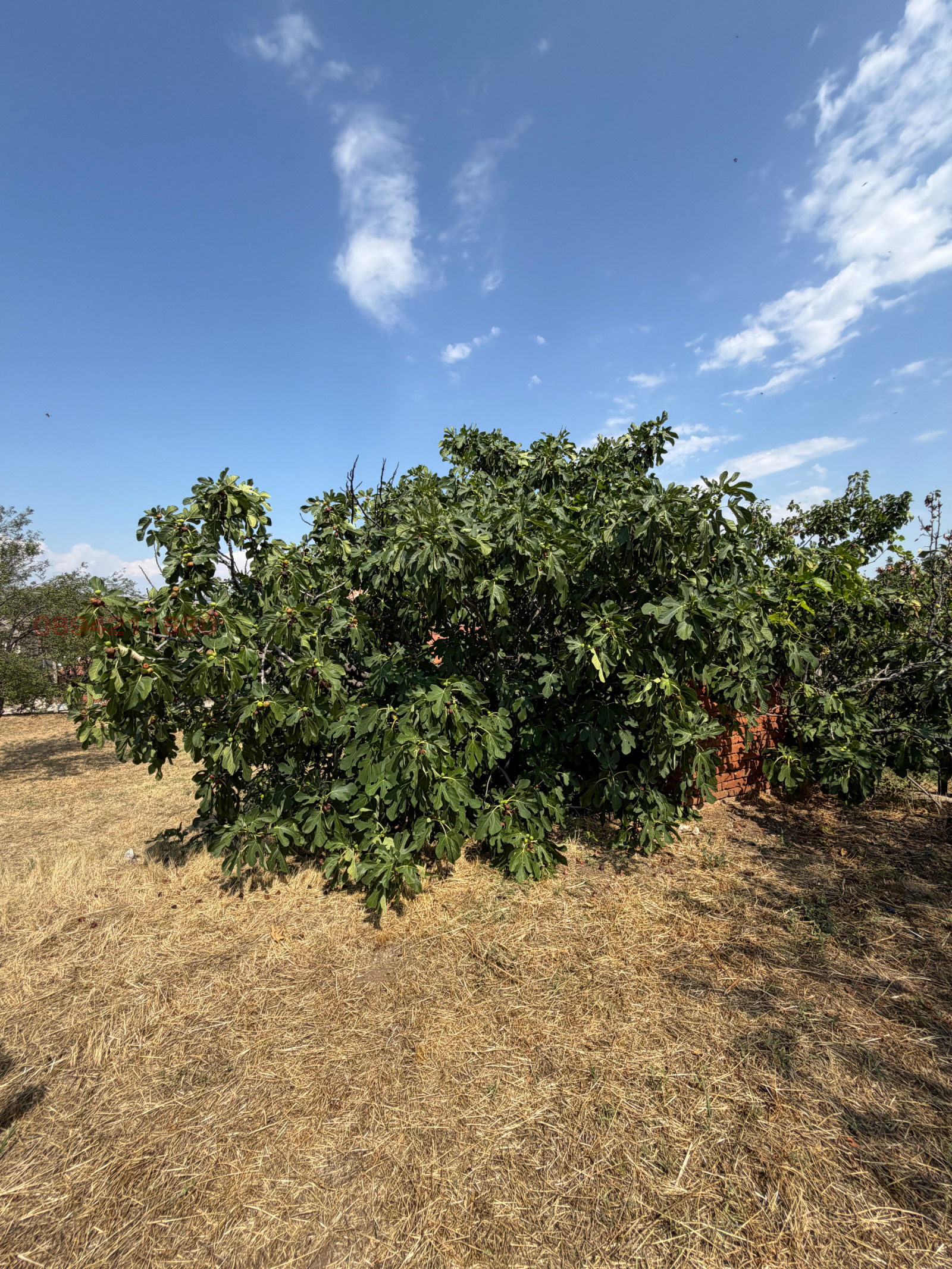 Продава КЪЩА, с. Аканджиево, област Пазарджик, снимка 2 - Къщи - 55835182