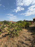 Продава КЪЩА, с. Аканджиево, област Пазарджик, снимка 3
