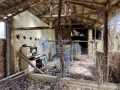 Продава КЪЩА, област Велико Търново, с. Иванча • 22000 € / 43028.26 лв. • 46361056 13