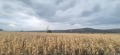 Продава ПАРЦЕЛ, област София, с. Хераково • 36040 € / 70488.11 лв. • 57709899 4