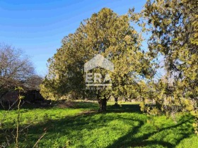 ������� ���� | Imot.bg � ����� ������ 4