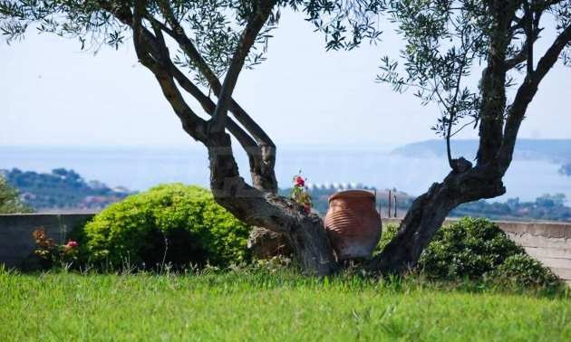 Продава ВИЛА, Извън страната, област Извън страната, снимка 12 - Вили - 54234258