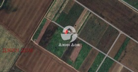 ����� ������� ������,�. ��������, ������ ������