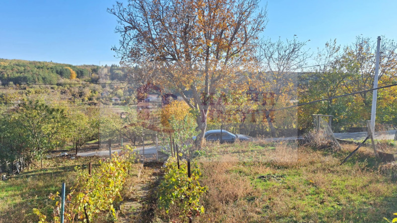 For Sale  Plot region Ruse , Nikolovo , 842 sq.m | 17843102