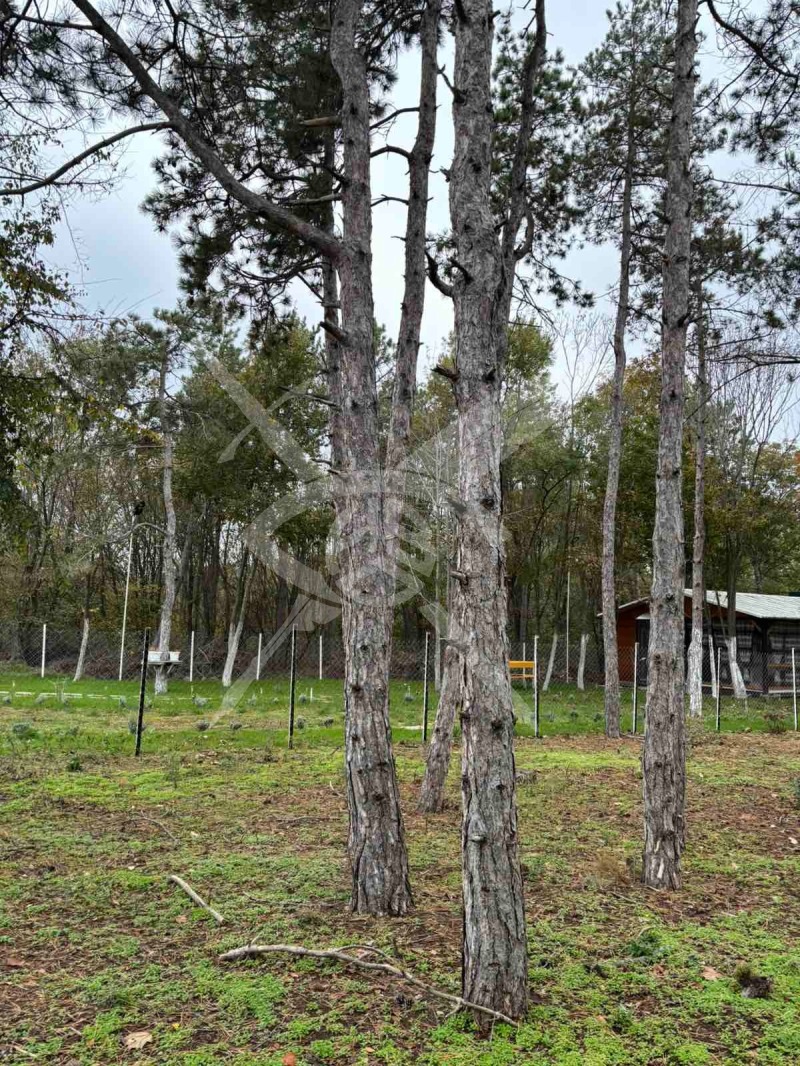 Продава ПАРЦЕЛ, гр. Черноморец, област Бургас, снимка 2 - Парцели - 52994649