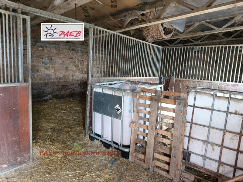 Продава БИЗНЕС ИМОТ, с. Щръклево, област Русе, снимка 15 - Други - 53315852