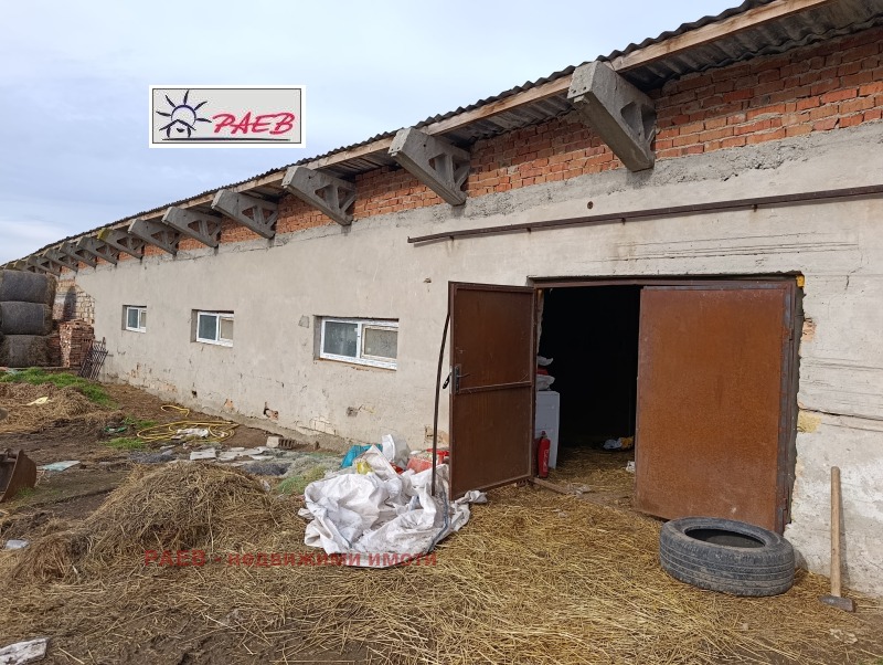 Продава БИЗНЕС ИМОТ, с. Щръклево, област Русе, снимка 12 - Други - 53315852