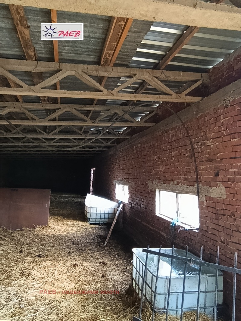 Продава БИЗНЕС ИМОТ, с. Щръклево, област Русе, снимка 4 - Други - 53315852