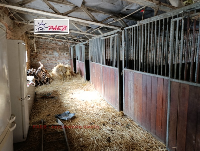 Продава БИЗНЕС ИМОТ, с. Щръклево, област Русе, снимка 13 - Други - 53315852