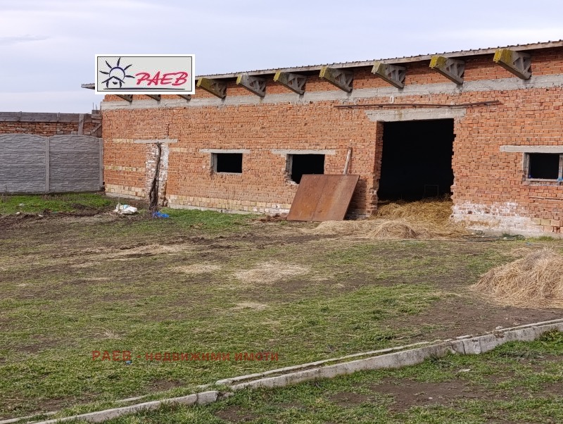 Продава БИЗНЕС ИМОТ, с. Щръклево, област Русе, снимка 6 - Други - 53315852